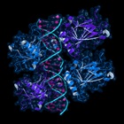 Metabolomics Software