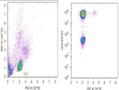 CD3 Expression Of Human PBMCs