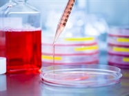 New Cell Culture Media Category