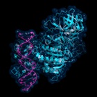  DNA Methylation Tools