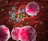 Scaling Up: Culturing PSCs in 3D