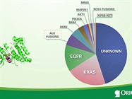 Watch Video: Diagnosis of ALK-driven Non Small Cell Lung Cancer from OriGene