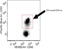 CD3e Antibody For Flow Cytometry