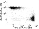 CD8a Antibody For Flow Cytometry