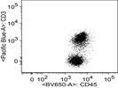 CD45.2 Antibody for Flow Cytometry