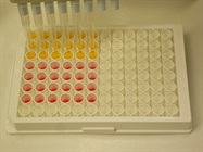 HALO &reg; ATP Bioluminescence Assays