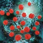  A CRISPR Attack On Cancer