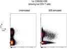 1uL CD69-BUV395 Works Beautifully In Multi-Color Panels