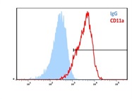 Distinguish Monocytes From Epithelial Cells