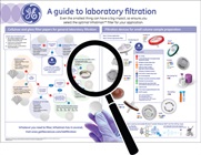 Complementary Whatman Filtration Poster