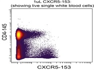 CXCR5-153 (RF8B2 clone) is best option yet for detecting pTFH cells