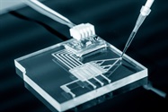 Microfluidics: Neat and Tidy Solutions