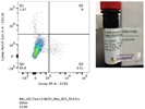 Staining BAL With CCR2: Easy Differentiation Of Epithelial And Monocyte Subpopulations