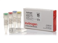 SuperScript™ IV VILO™ Master Mix with ezDNase™ Enzyme