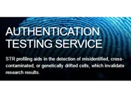 Cell Line Authentication Service via Short Tandem Repeat (STR) Profiling