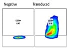 BioLegend PE anti-CD34 human