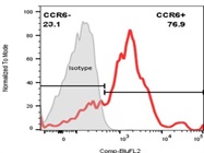 Expression Of CCR6 By In-Vitro Differentiated Th17 Cells