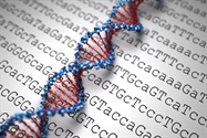 WGS: Analyzing  All the DNA and Then Some
