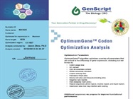 Good Codon Optimization Service