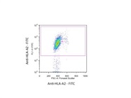 FITC Anti-Human HLA-A2 Antibody Review