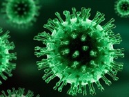 Lentiviral system (Lenti-ORFs and Lenti-shRNAs): The simplest gene delivery for nearly all cells