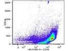 Anti-CD45 Identifies Immune Cells Very Well In The Lymph Nodes