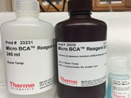 High Precision Protein Assay Kit Compatible With Presence Of Ionic Detergent