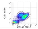 Detection Of CD31 On LSEC From Mouse Liver