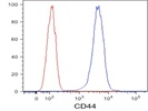 Mouse Anti Sheep CD44 (Purified) From Bio-Rad