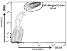 Expression of CD1d on peripheral blood monocytes from patients with a rare autoimmune disease