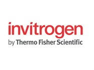 Invitrogen™ Epigenetic Antibodies