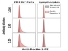PE anti-Dectin-1 antibody