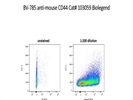 Activation marker for T cells in mice