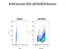 A Good Antibody For L-Selectin Staining On Lymphocytes