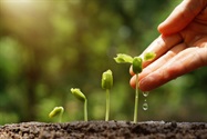  Seeding a Better Crop with Gene Editing