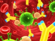 Purification of Recombinant F(Ab')2 Fragments and Their Various Applications