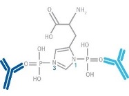 Now You Can Detect phospho-His!