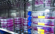 Incubator Architecture: Building a Comfortable Home for Your Cells