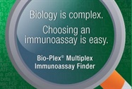 Multiplex Immunoassays: Five Tips for Optimizing Your Experiments