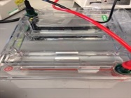 Great System For Running Gels