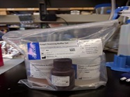 Foxp3 Staining Kit