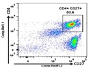 Expression Of CD27 On Human PBMCs