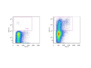 APC Anti-Human IFN-gamma Antibody Review