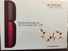 Mouse BDNF PicoKine ELISA Kit