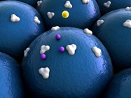  Protein Purification: Tag You Are It!