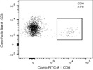 CD8 antibody for Flow Cytometry
