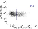 TNF-a Antibody for Flow Cytometry