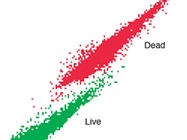 Yeast Viability and Vitality assays