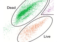 Bacteria Counting and Enumeration Assays