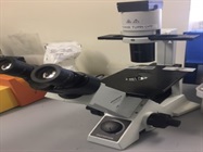 Efficient Microscope
